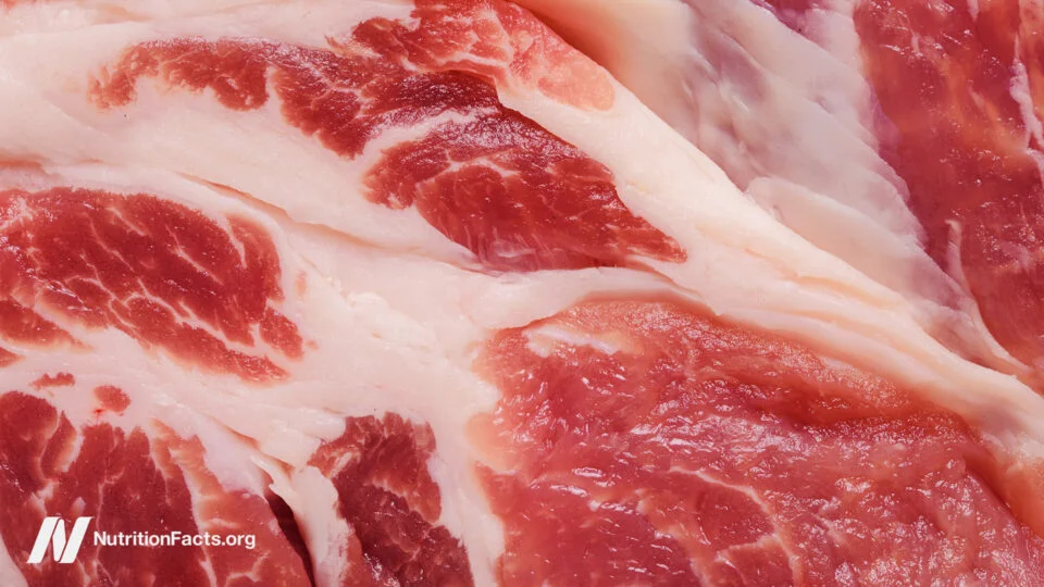 Conflicting Conclusions: Meat Industry Study Supports Health Risks Yet Advocates Continued Consumption