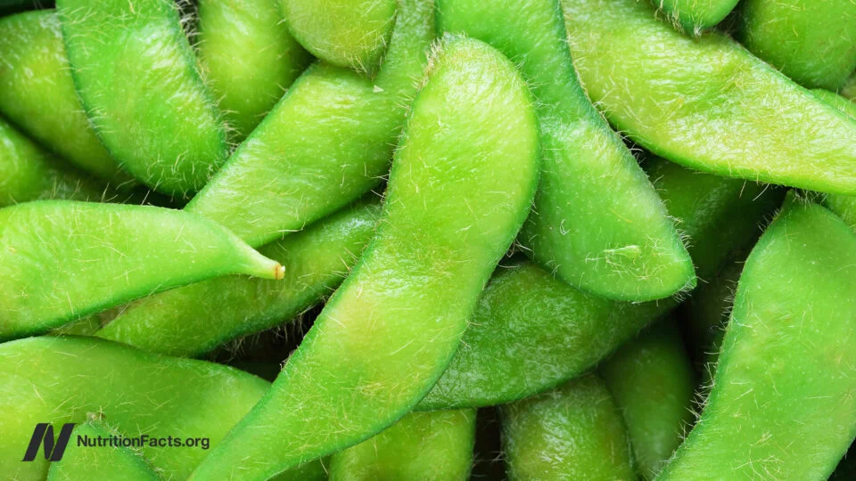 Reassessing Protein Quality: The Impact of Source Over Quantity