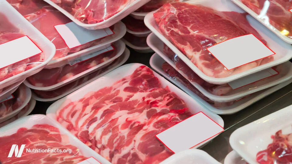 Examining Controversies Surrounding Meat Consumption Guidelines