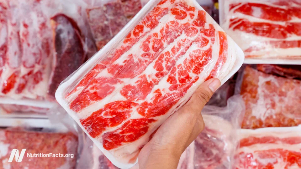 Scrutinizing Meat Consumption Guidelines: Scientific Evidence vs. Established Recommendations