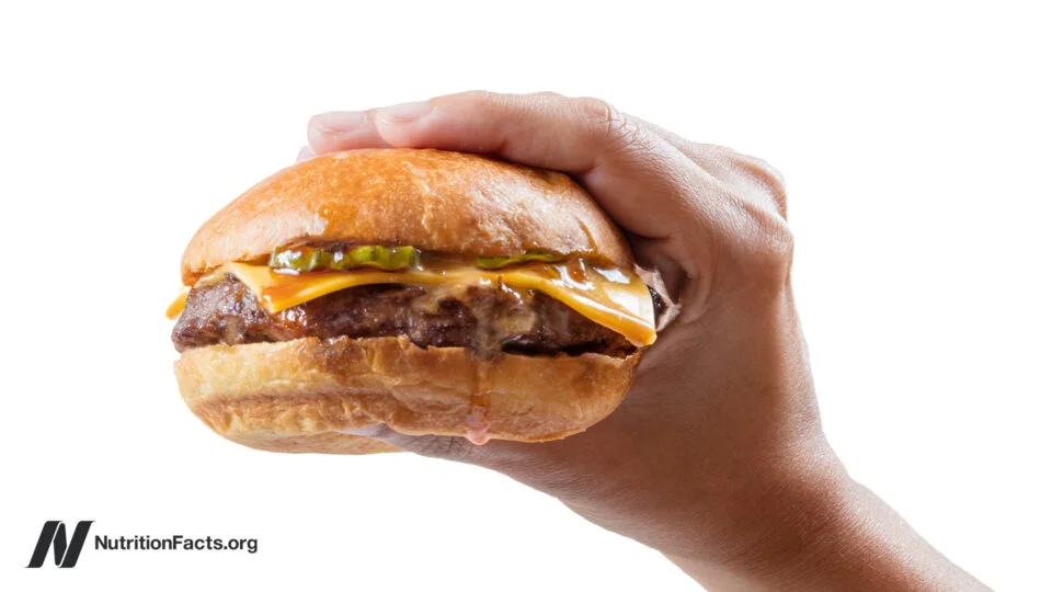 Understanding the Lifespan Cost of Meat Consumption