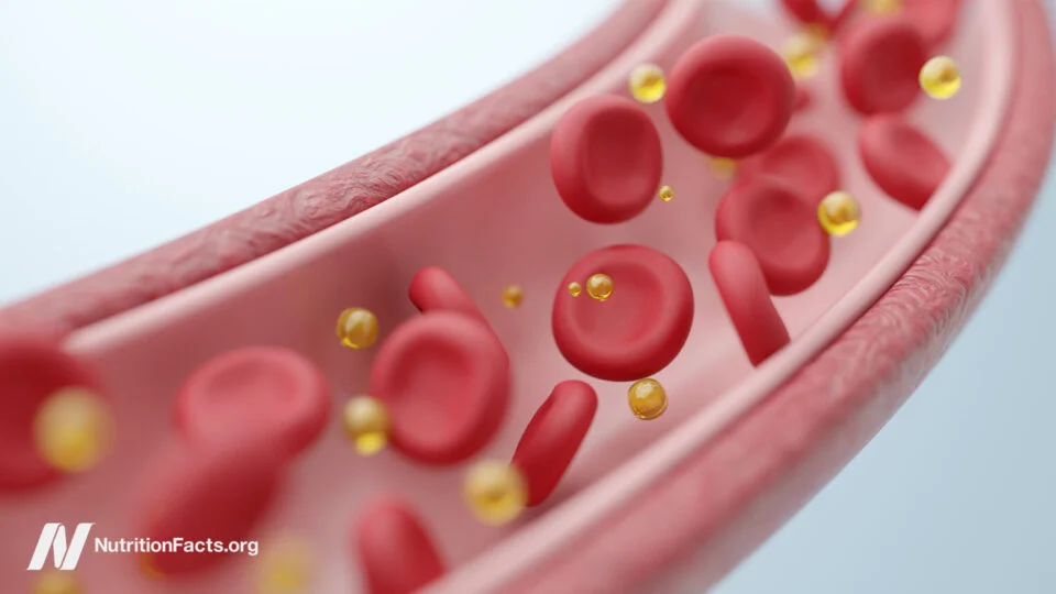 Single High-Fat Meal's Impact on Arterial and Lung Health Revealed