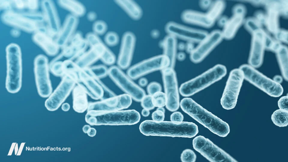 The Impact of Diet on Gut Microbiome and Its Role in Health