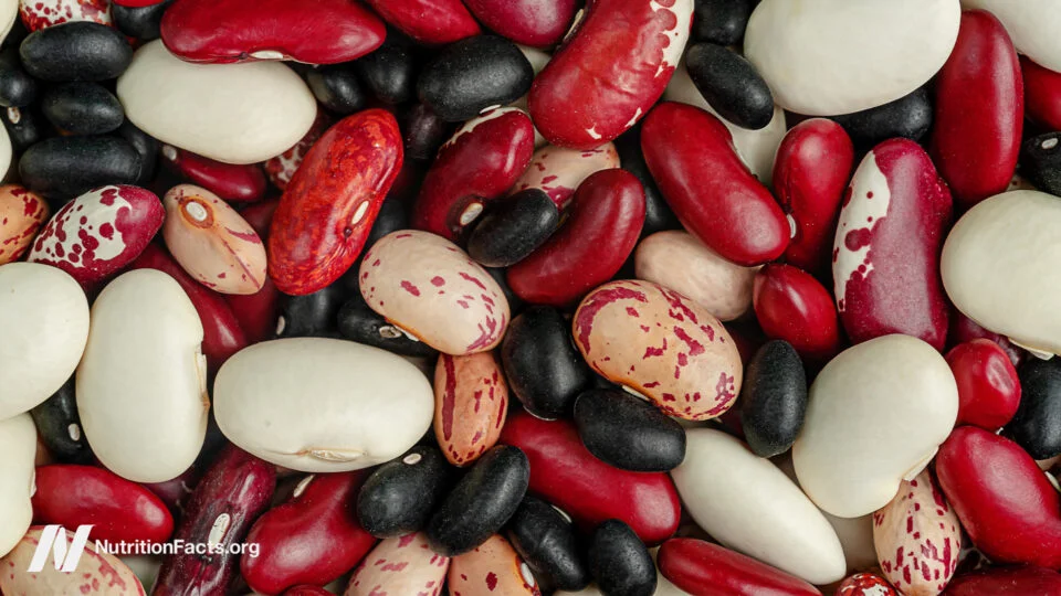 Exploring Legumes: Their Role in Curbing Cancer Spread