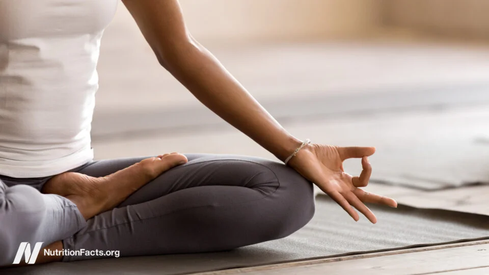Yoga Put to the Test: What the Science Really Shows