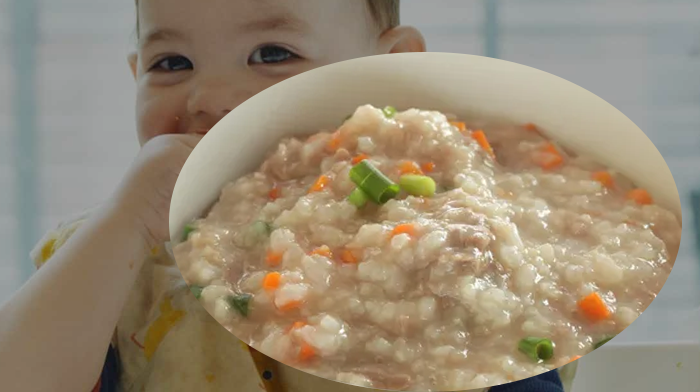 Mpasi 8 bulan bubur udang sayuran lezat dan bergizi