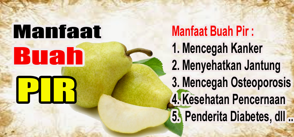 Manfaat dan Kandungan Gizi Buah Pir